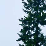 Photo courtesy of Sarah E. Edwards