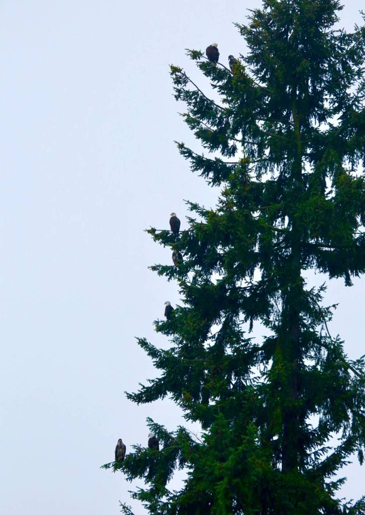 Photo courtesy of Sarah E. Edwards