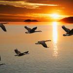 Summer solstice | Letter