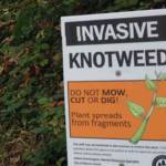 Mercer Island parks department struggles to keep up with rising costs in open space management