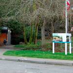 Two perspectives on MICA sign removal | Letters