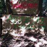 The eclipse casts crescent shadows across Adventure Playground. Photo courtesy of Diane Mortenson/Mercer Island Parks and Recreation