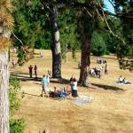 Luther Burbank Park. Photo courtesy of Diane Mortenson/Mercer Island Parks and Recreation