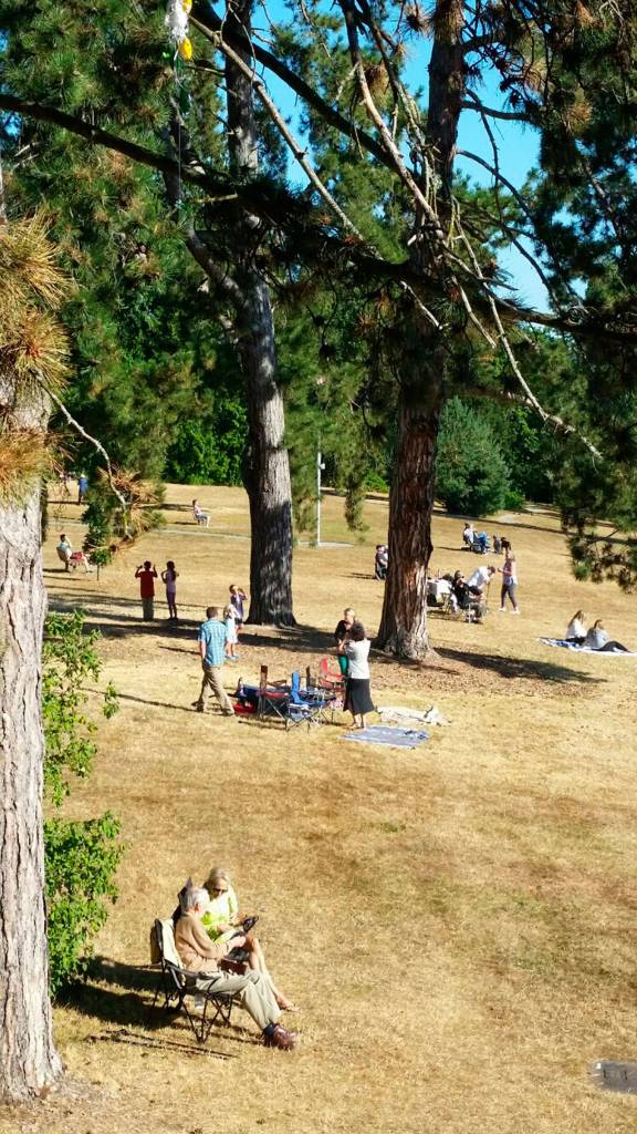 Luther Burbank Park. Photo courtesy of Diane Mortenson/Mercer Island Parks and Recreation