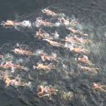 Mercer Island boys water polo team partakes in annual I-90 Lake Swim tradition