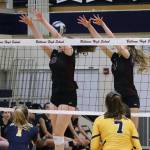 Islanders conquer rival Wolverines in volleyball showdown