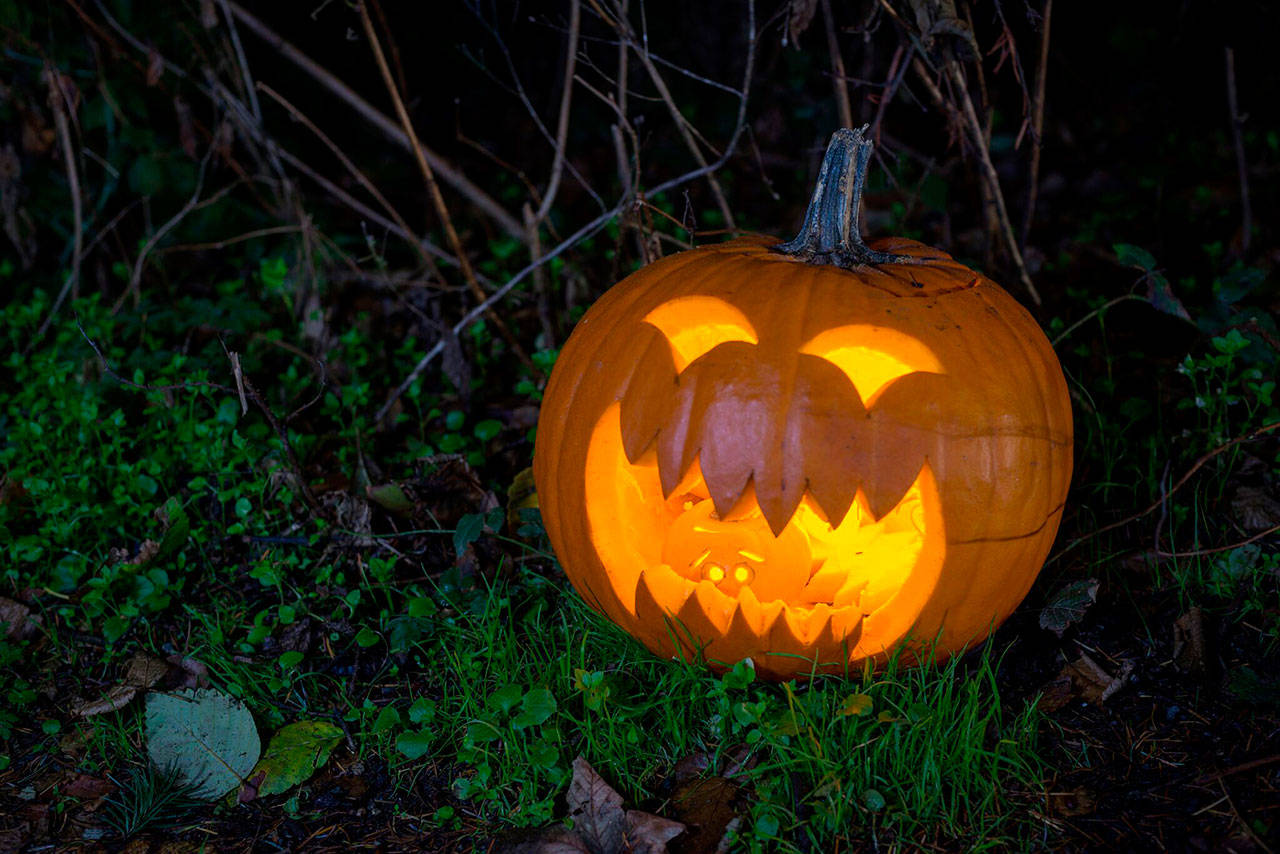 Mercer Island&rsquo;s annual Pumpkin Walk is set for Oct. 21. Photo courtesy of Matthew Staver