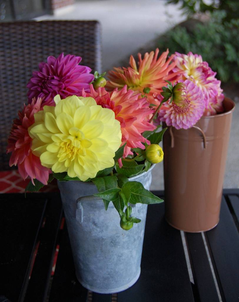 The Covenant Shores campus is in bloom thanks to a group of resident gardeners. Katie Metzger/staff photo