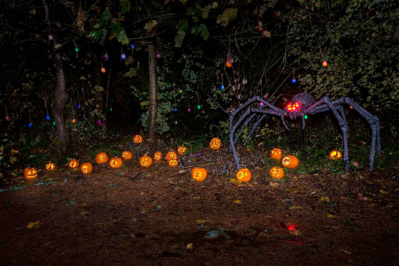 Mercer Island&rsquo;s Halloween events kicked off with the Pumpkin Walk on Saturday. There are many more fun and festive events, including community trick or treating, for Islanders to enjoy this weekend and next week. Photo courtesy of Matthew Staver