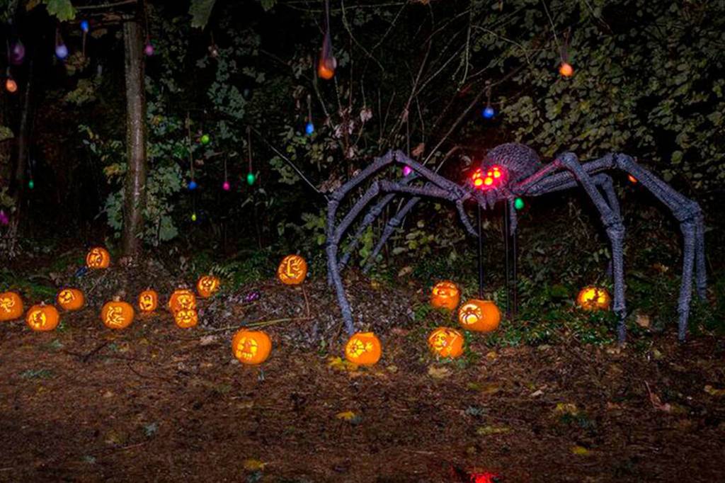 Rain doesn’t dampen spirits at Mercer Island Pumpkin Walk