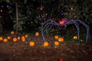 Rain doesn’t dampen spirits at Mercer Island Pumpkin Walk