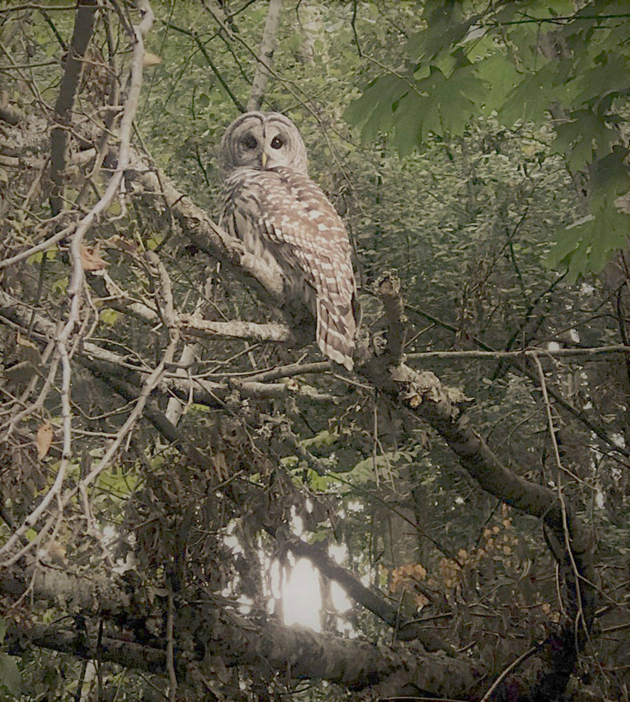 Photo courtesy of Emily Kahan