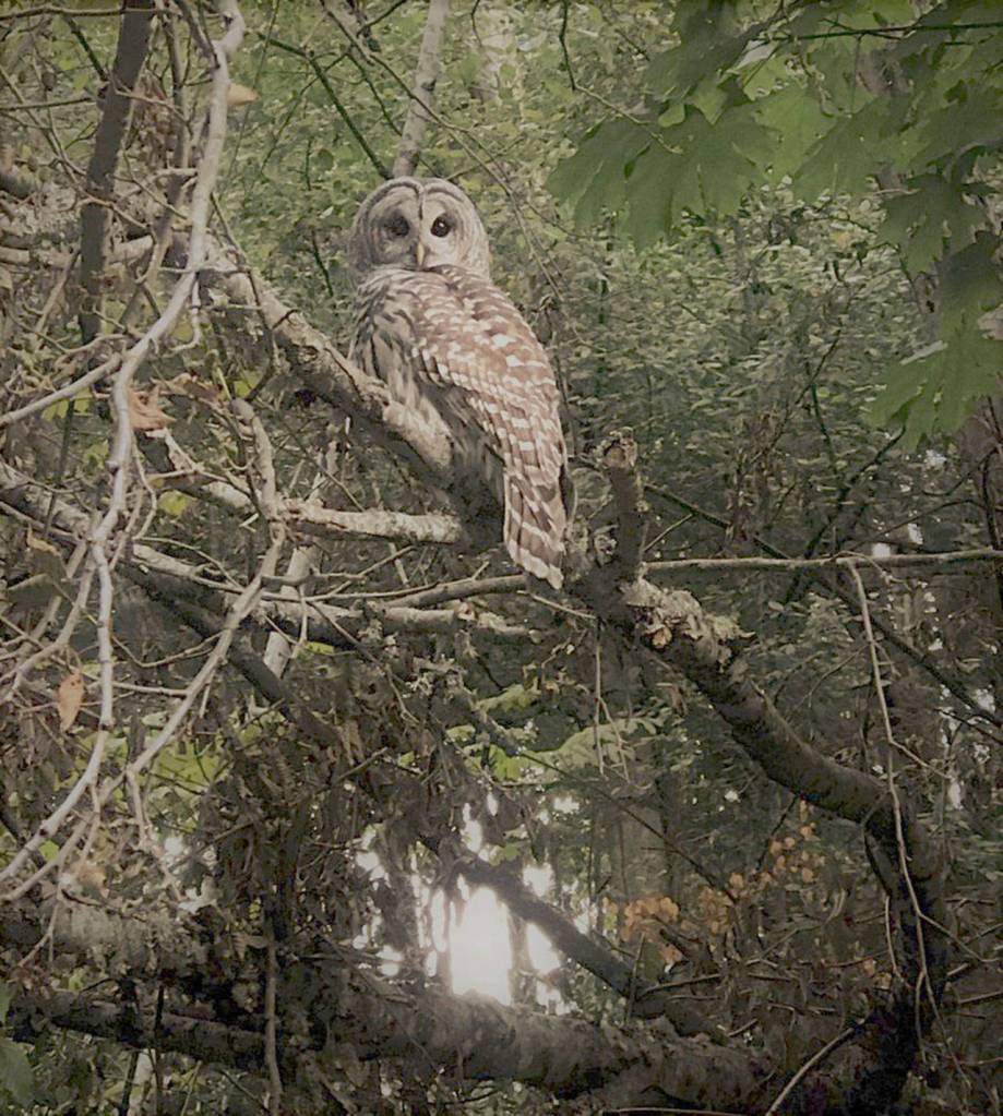 Photo courtesy of Emily Kahan