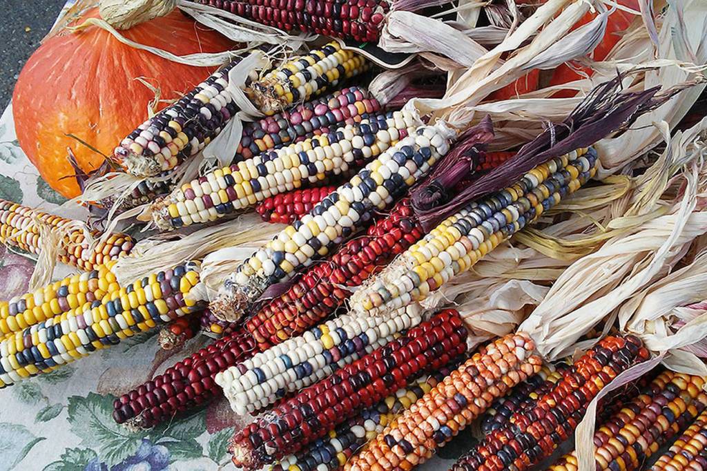 Mercer Island’s annual Harvest Market returns in time for holiday shopping