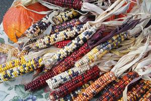 Mercer Island’s annual Harvest Market returns in time for holiday shopping