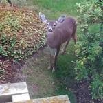 Photo courtesy of Kirsten Long