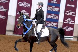Islander wins prestigious horse jumping competition