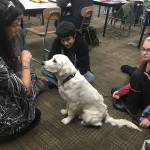 Students report that they feel less mentally tired and 10 times happier after seeing Finley. Katie Metzger/staff photo