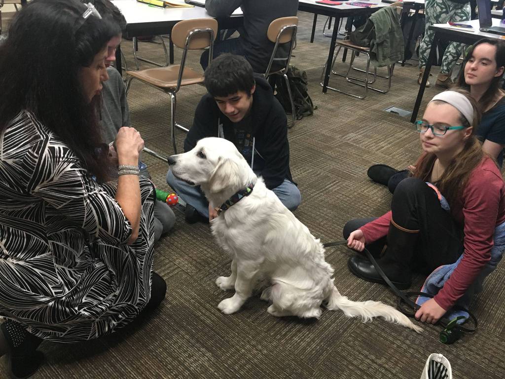 Students report that they feel less mentally tired and 10 times happier after seeing Finley. Katie Metzger/staff photo