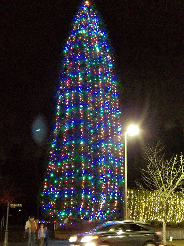 The annual Mercer Island event will feature the 32nd Street Singers singing choral holiday classics during the tree lighting at Mercerdale Park and Charlie and the Flashbacks featuring Dave Irish providing musical entertainment at the Firehouse Munch. Photo courtesy of Mercer Island Parks and Recreation