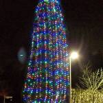 The annual Mercer Island event will feature the 32nd Street Singers singing choral holiday classics during the tree lighting at Mercerdale Park and Charlie and the Flashbacks featuring Dave Irish providing musical entertainment at the Firehouse Munch. Photo courtesy of Mercer Island Parks and Recreation