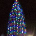 Mercer Island to host tree lighting, Firehouse Munch, Argosy Ship | Holiday briefs