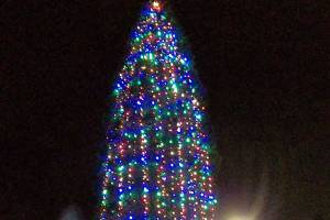 Mercer Island to host tree lighting, Firehouse Munch, Argosy Ship | Holiday briefs