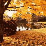 A quiet lake | Eye on MI