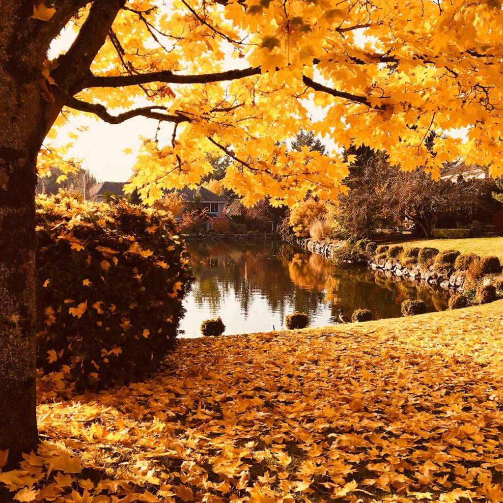 A quiet lake | Eye on MI