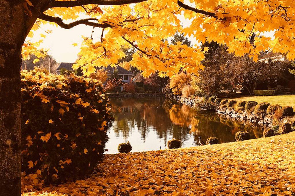 A quiet lake | Eye on MI