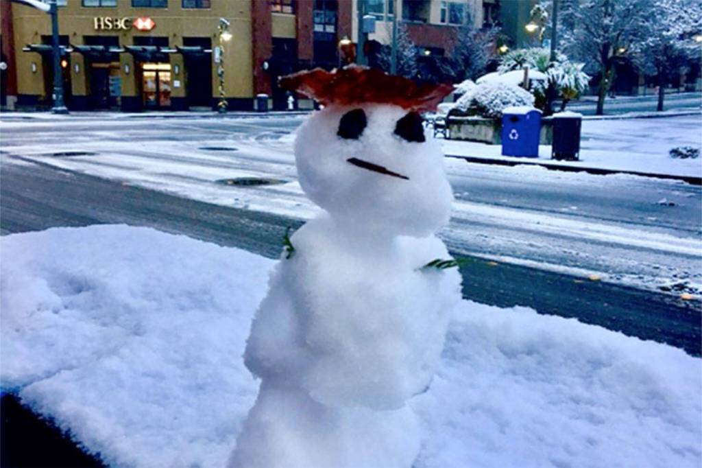 White Christmas on Mercer Island | Eye on MI