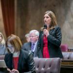 Rep. Tana Senn speaks on equal pay in February 2016. Courtesy photo