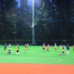 With help of community donors, Mercer Island completes Island Crest Park renovation