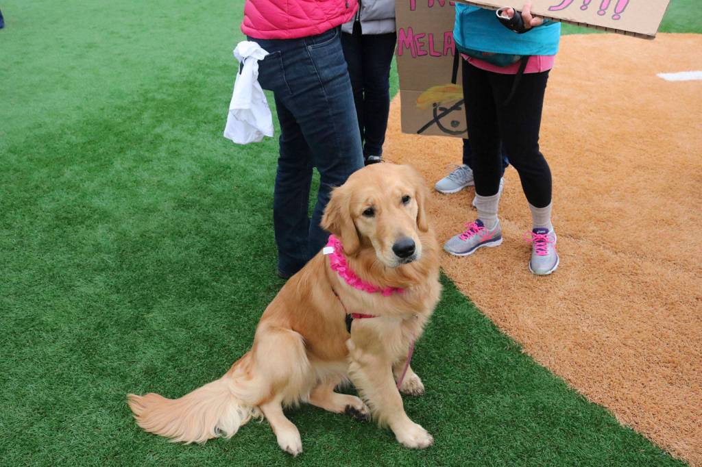 Seattle Women’s March 2.0 in Photos