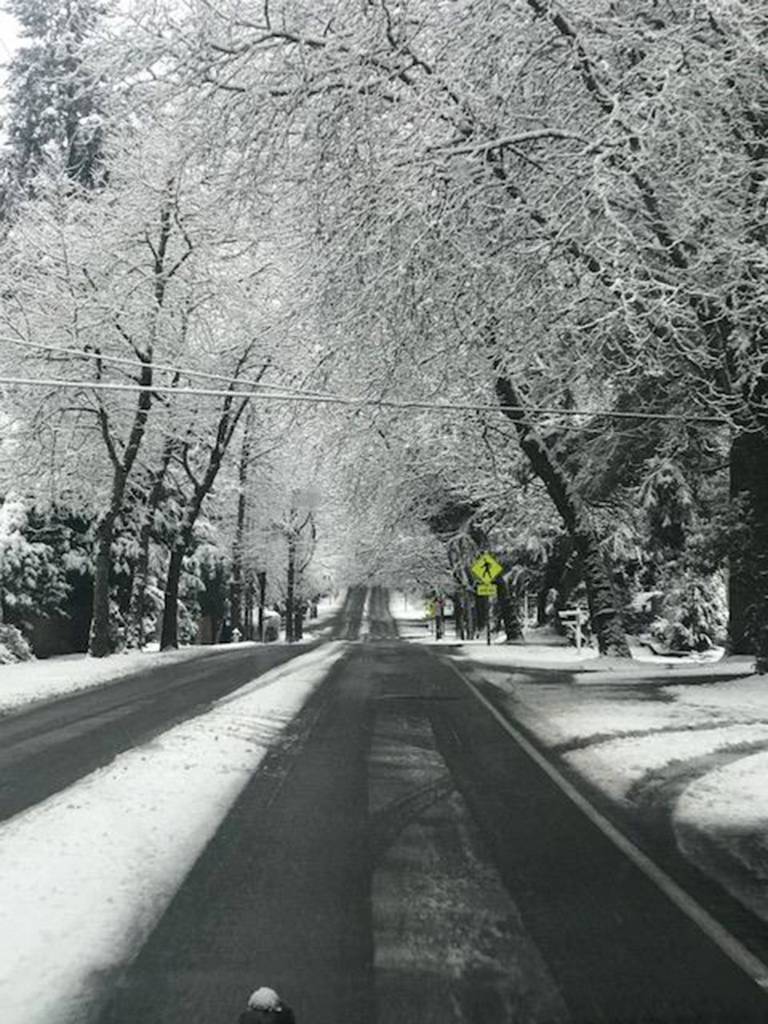Snow covered Mercer Island on Dec. 25. Photo courtesy of the Mercer Island Police Department