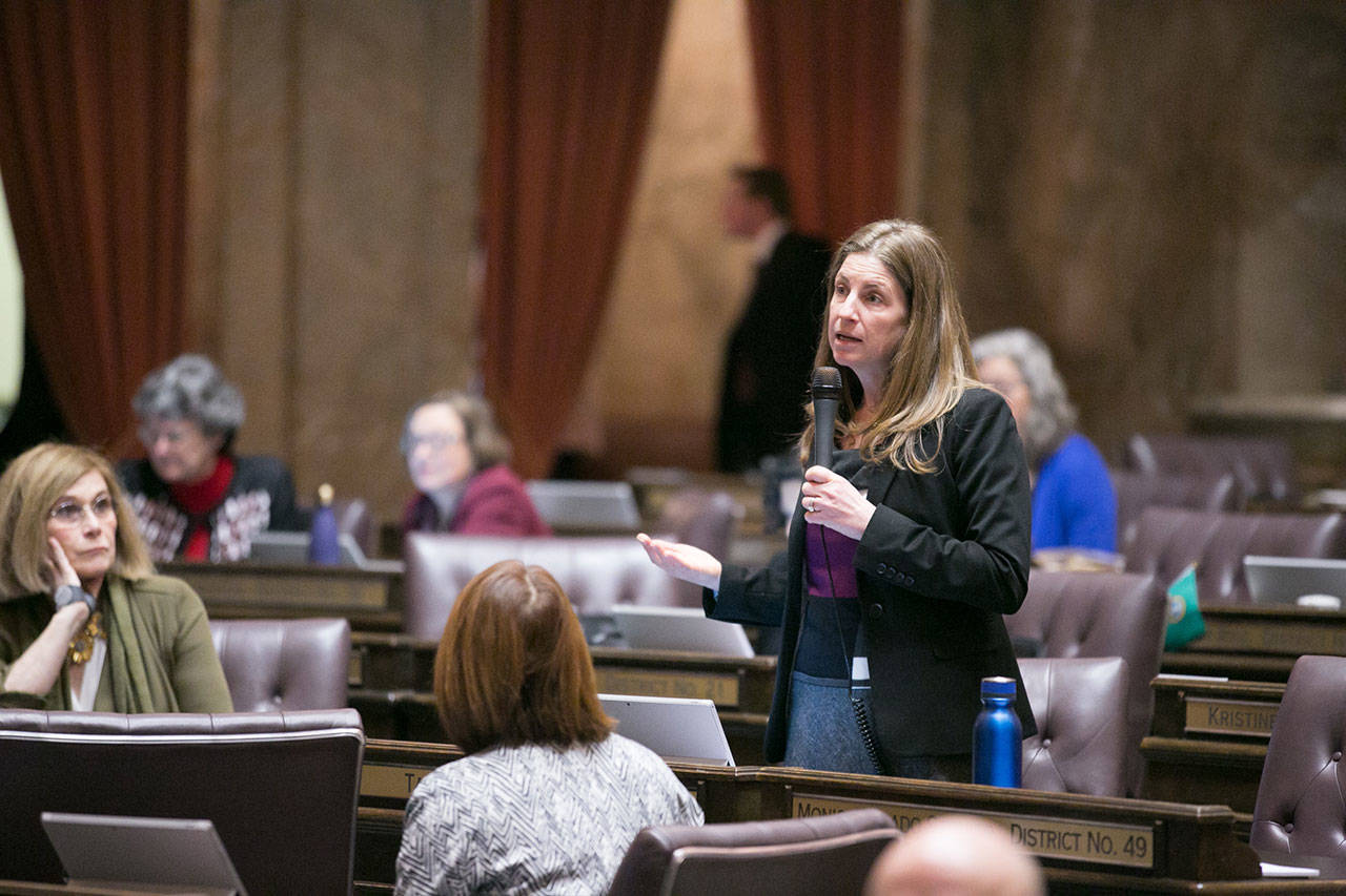 Rep. Tana Senn, D-Mercer Island, speaking on the floor of the House of Representatives on Feb. 1. Photo courtesy of state Legislature