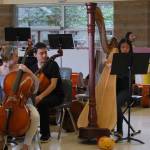 Rachel Leung performs a harp solo of Can You Feel the Love Tonight on Feb. 25. Katie Metzger/staff photo
