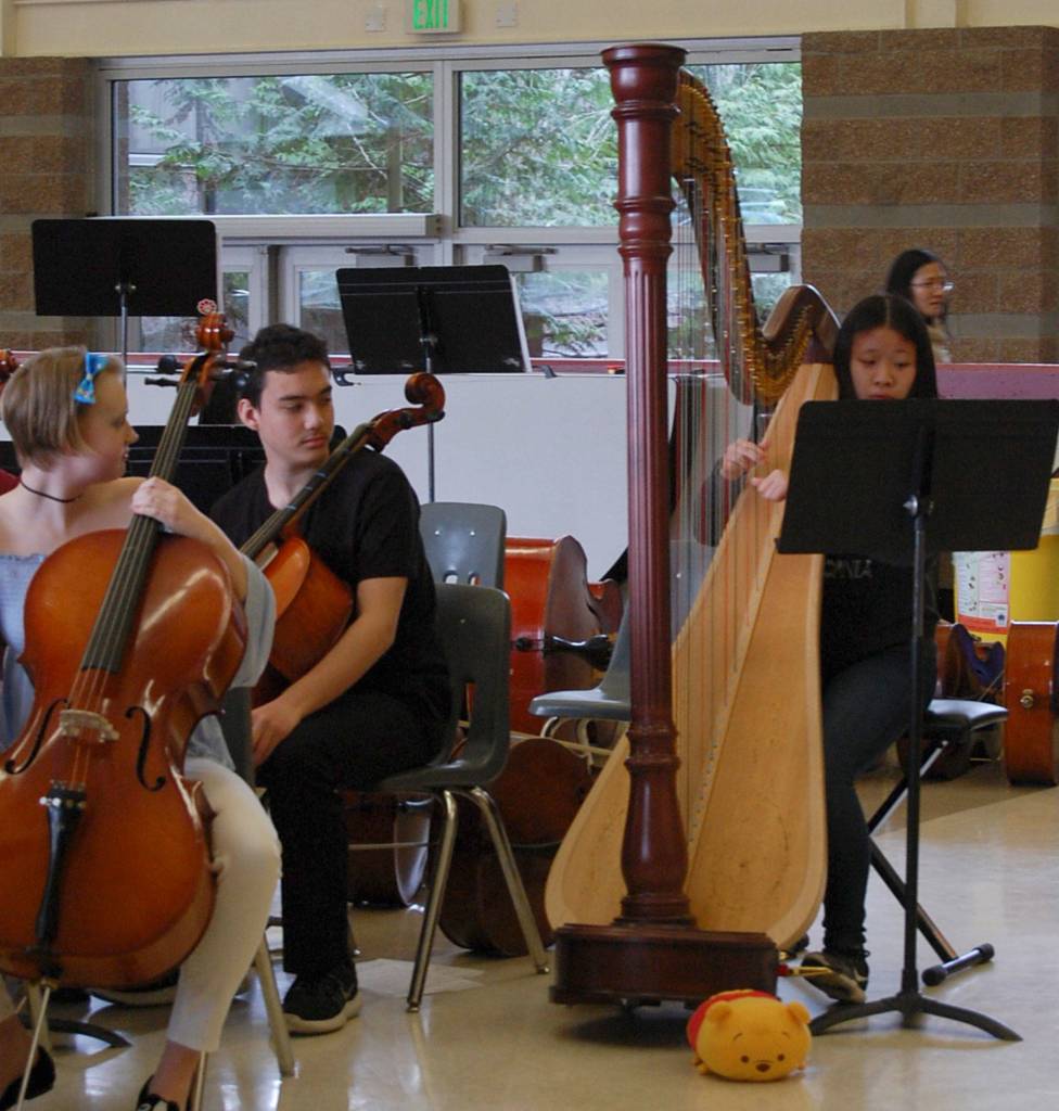 Rachel Leung performs a harp solo of Can You Feel the Love Tonight on Feb. 25. Katie Metzger/staff photo