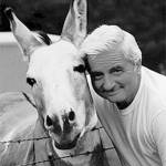 ROBERT VICTOR NORTON