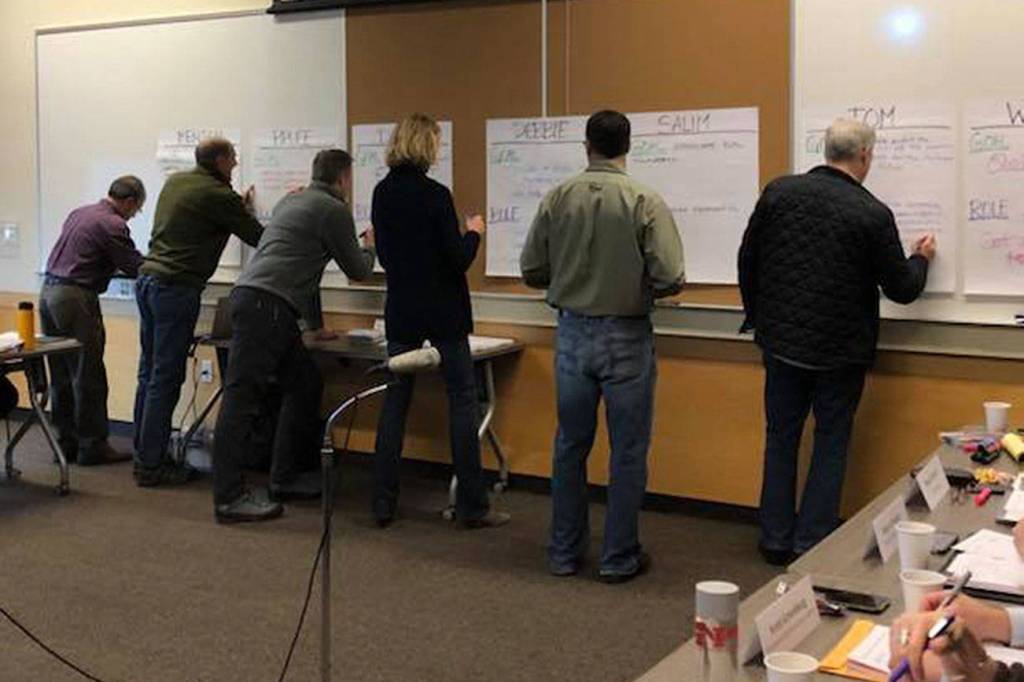 Mercer Island City Council lays out goals for 2018