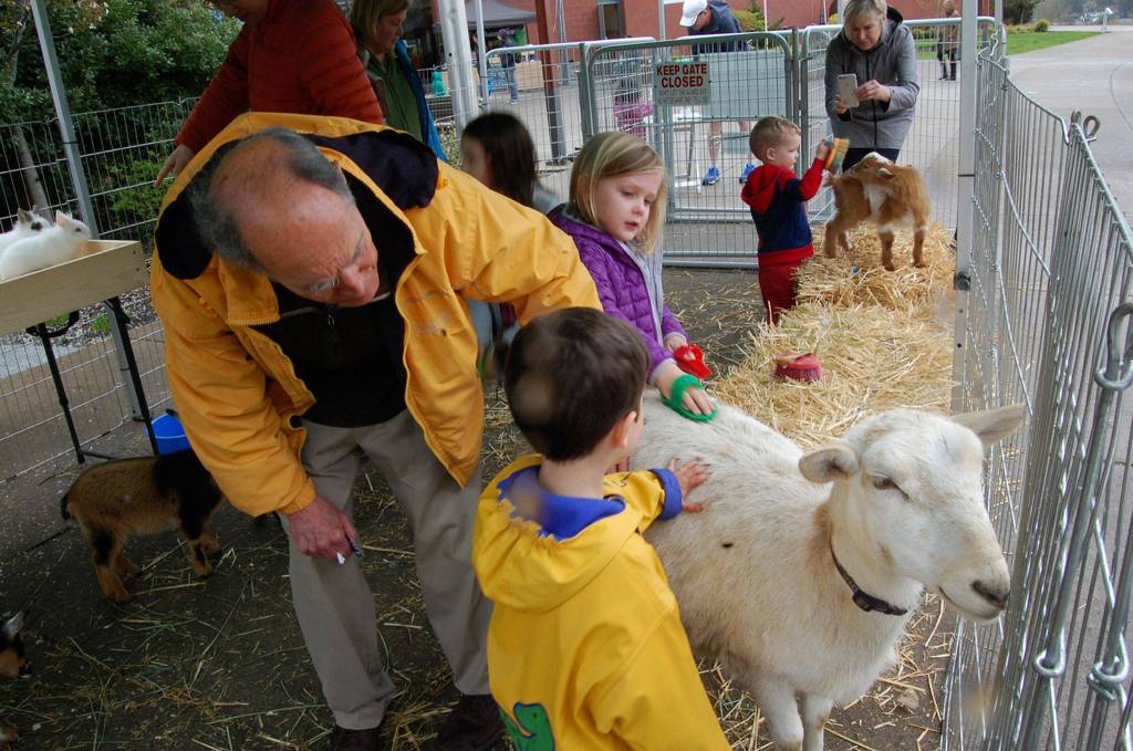 Local families enjoy the petting zoo at the Leap for Green Sustainability Fair on Mercer Island, which featured baby goats, bunnies, chickens and even a wallaby. Katie Metzger/staff photo