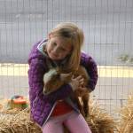 A young girl snuggles a baby goat in the petting zoo at Saturdays fair. Katie Metzger/staff photo