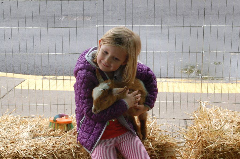 A young girl snuggles a baby goat in the petting zoo at Saturdays fair. Katie Metzger/staff photo