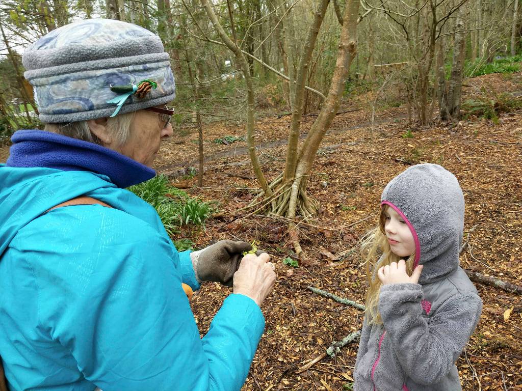 Six year old Laura Drake, who is so passionate about plants that she named her rescue cats Daisy and Daffodil, has been training as a Junior Naturalist in the Native Garden.