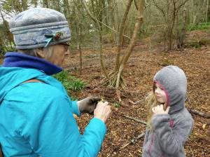 Six year old Laura Drake, who is so passionate about plants that she named her rescue cats Daisy and Daffodil, has been training as a Junior Naturalist in the Native Garden.