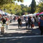 Photo courtesy of the city of Mercer Island