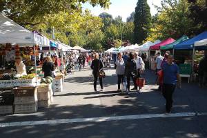 Photo courtesy of the city of Mercer Island