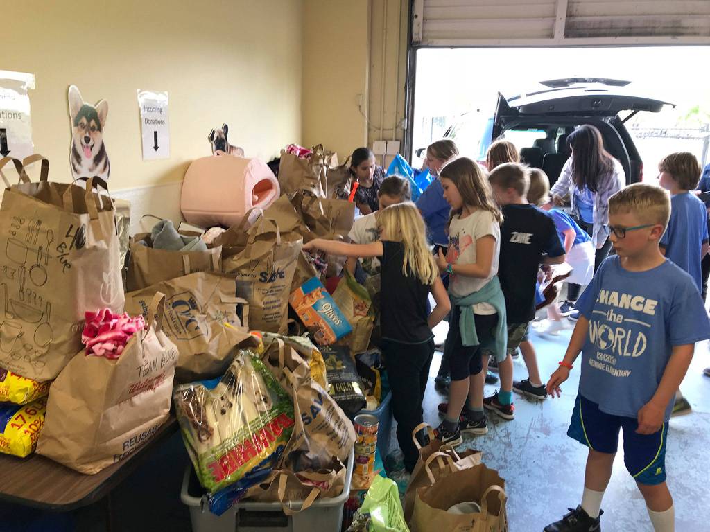 K-Kids unload more than 700 donations at Homeward Pet. Photo courtesy of Julia Hokanson