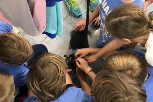 Lakeridge K-Kids Club in Mercer Island helps homeless animals