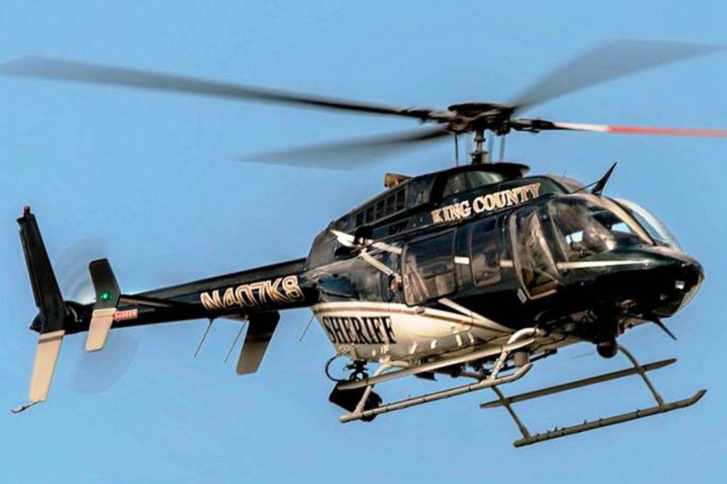 Police chase and catch car thieves